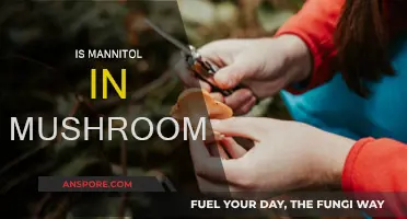 Mushroom Mystery: Mannitol's Sweet Presence