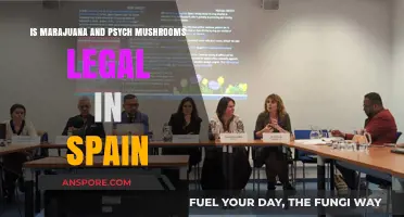 Spain's Legal Stance on Marijuana and Psychedelic Mushrooms Explained