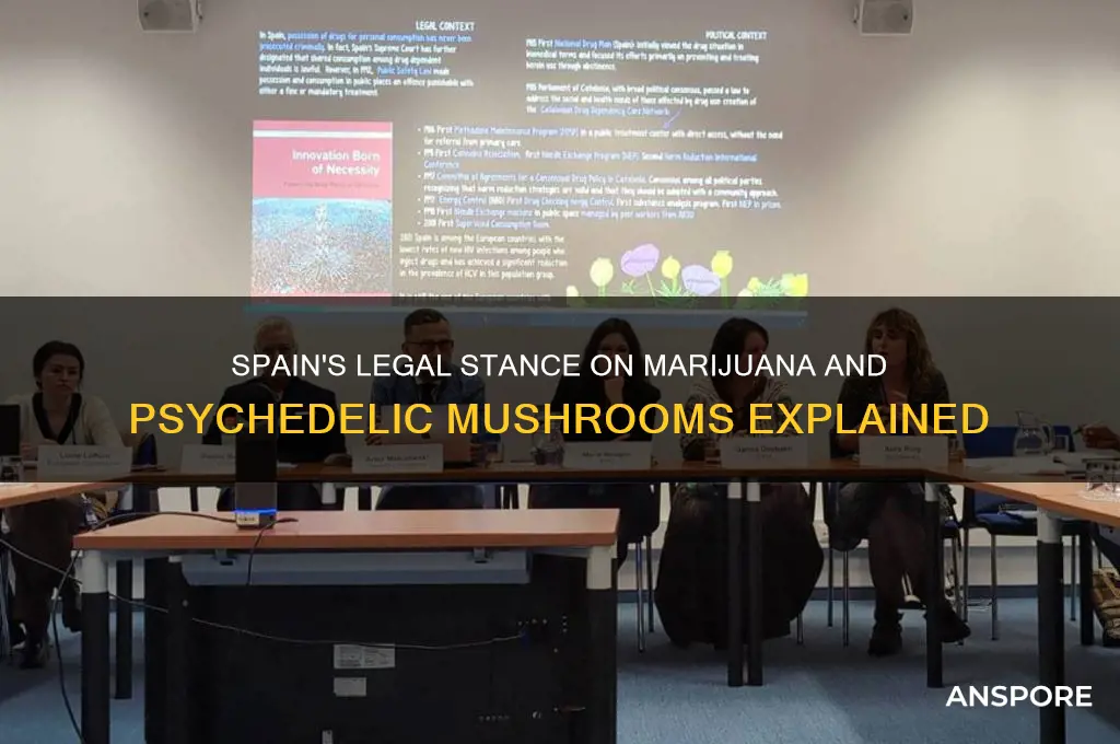 is marajuana and psych mushrooms legal in spain