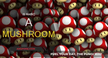 Mushroom Mystery: Is Mario a Fungus?