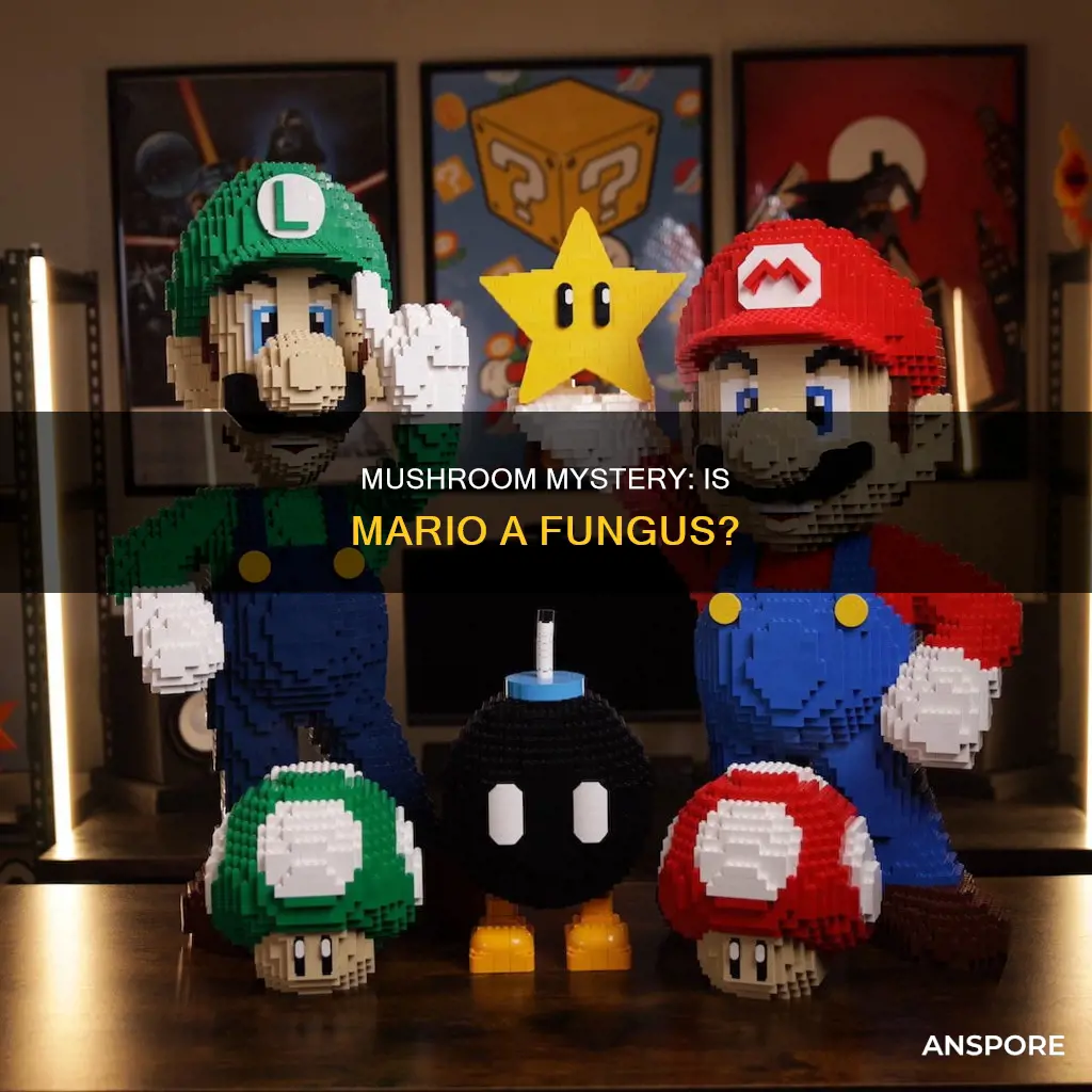 is mario a mushroom