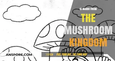 Is Mario Truly from the Mushroom Kingdom? Unraveling the Mystery