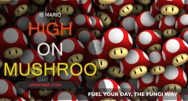 Mushroom Mania: Mario's Trippy Adventure