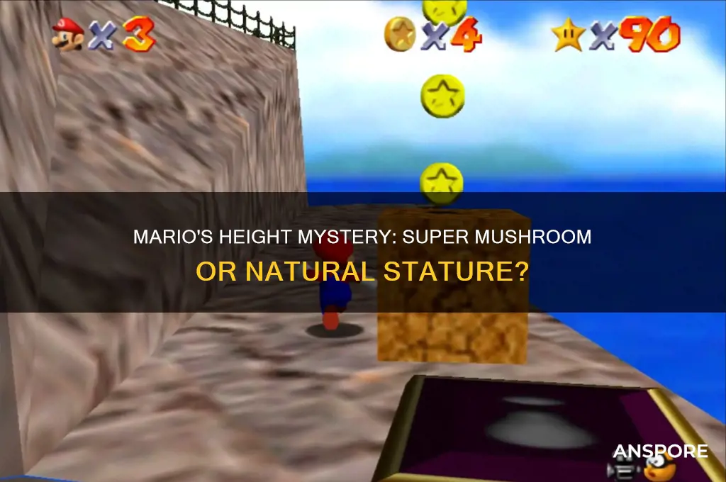 is marios normal height the super mushroom or