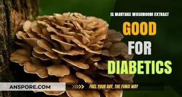 Martake Mushroom Extract: A Potential Diabetes Management Aid?