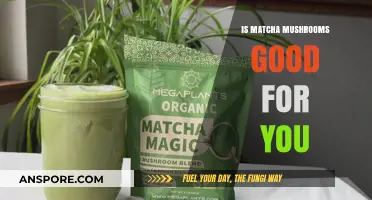 Matcha Mushrooms: Unveiling the Health Benefits and Nutritional Value