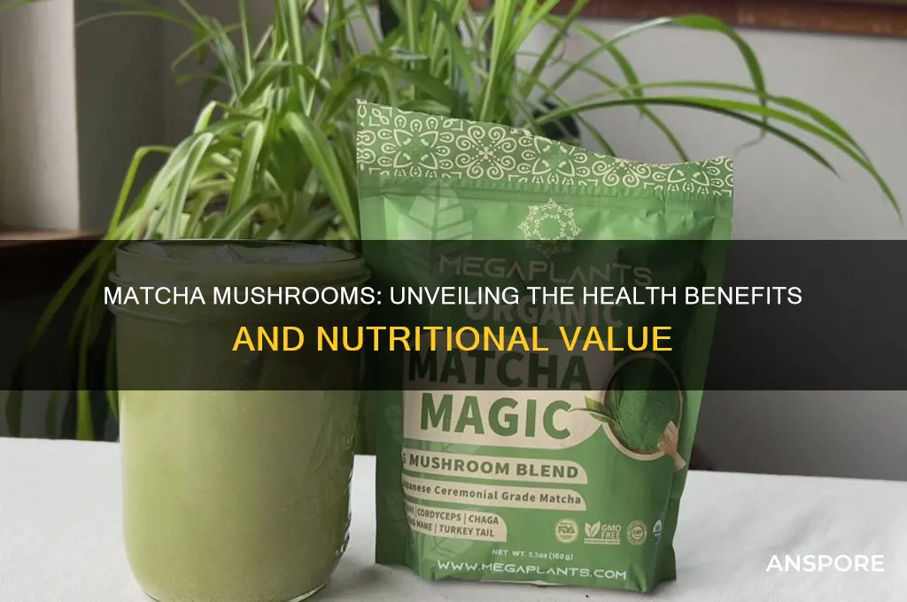 is matcha mushrooms good for you
