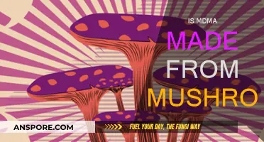 How Magic Mushrooms and MDMA Are Linked