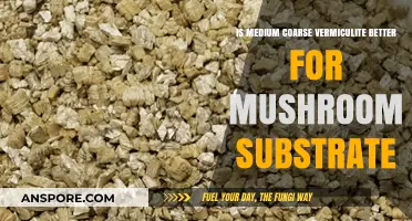 Medium Coarse Vermiculite: Optimal Choice for Mushroom Substrate?
