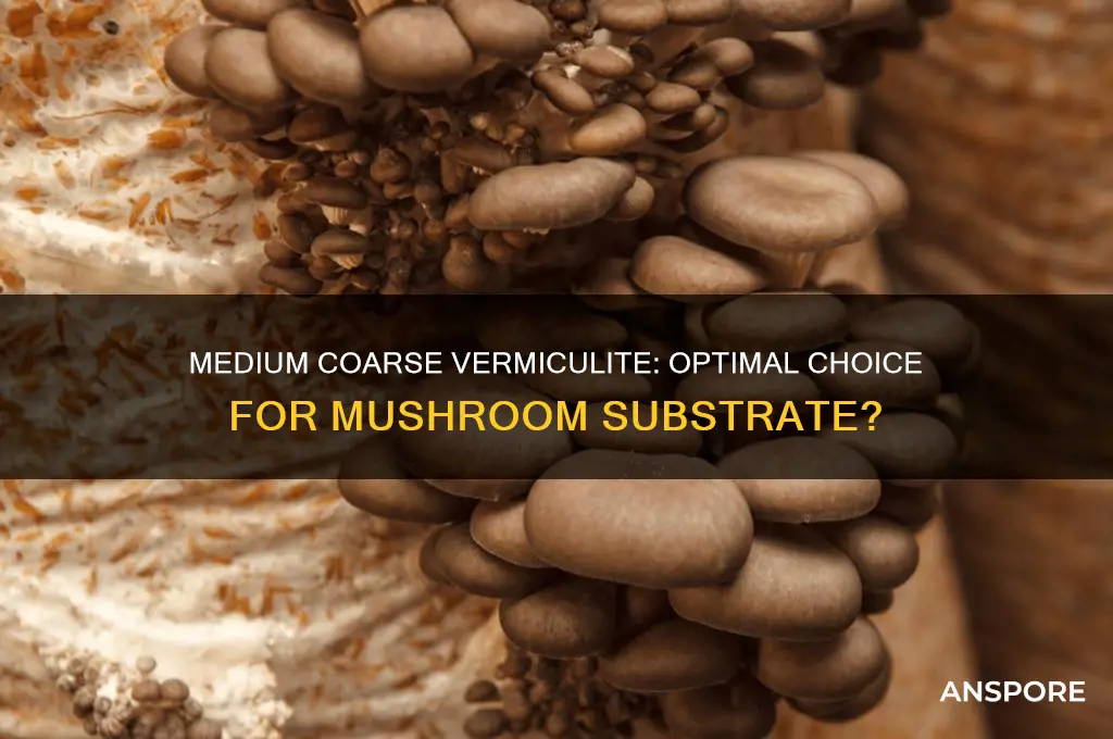 is medium coarse vermiculite better for mushroom substrate