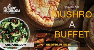 Mellow Mushroom: Buffet or Not?