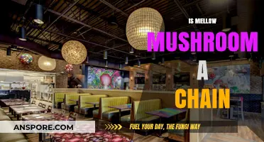 Mellow Mushroom: A Chain with a Difference