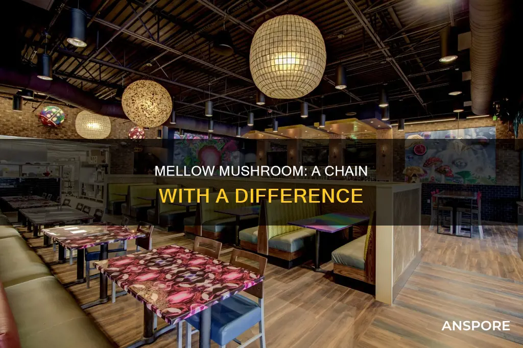 is mellow mushroom a chain