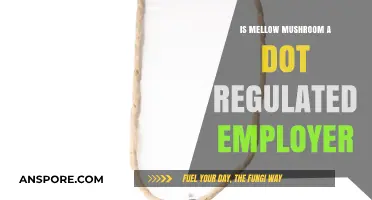 Is Mellow Mushroom a DOT-Regulated Employer? Key Facts Explained