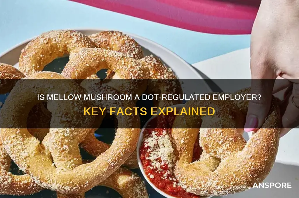 is mellow mushroom a dot regulated employer