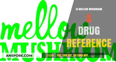 Is Mellow Mushroom a Drug Reference? Unraveling the Pizza Chain's Name