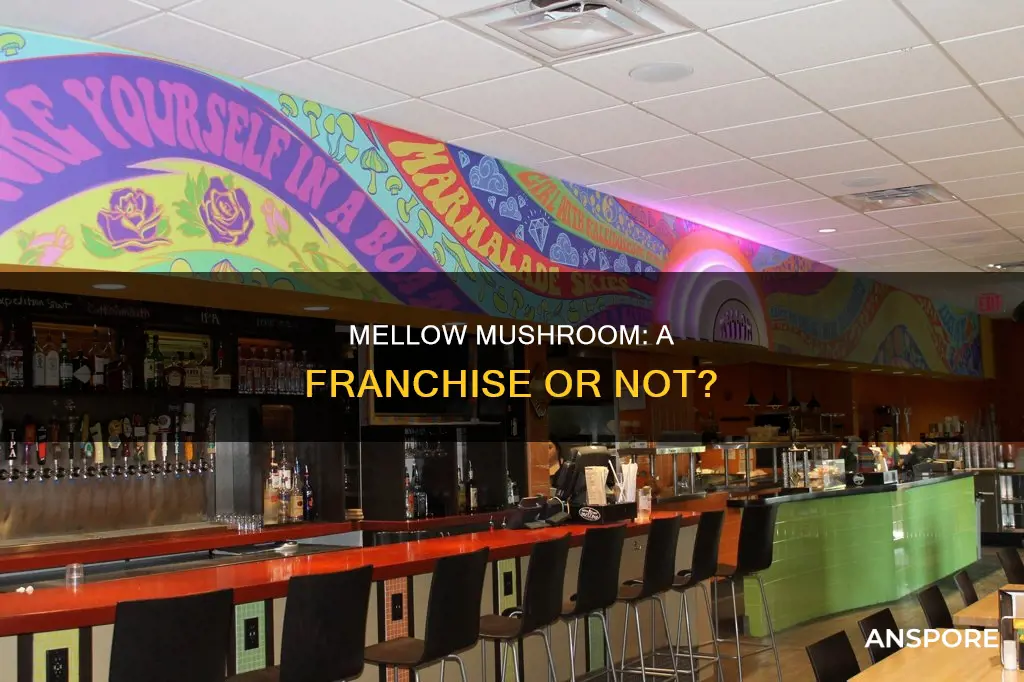 is mellow mushroom a franchise