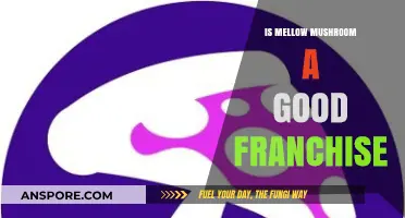 Is Mellow Mushroom a Profitable Franchise Opportunity? A Detailed Review