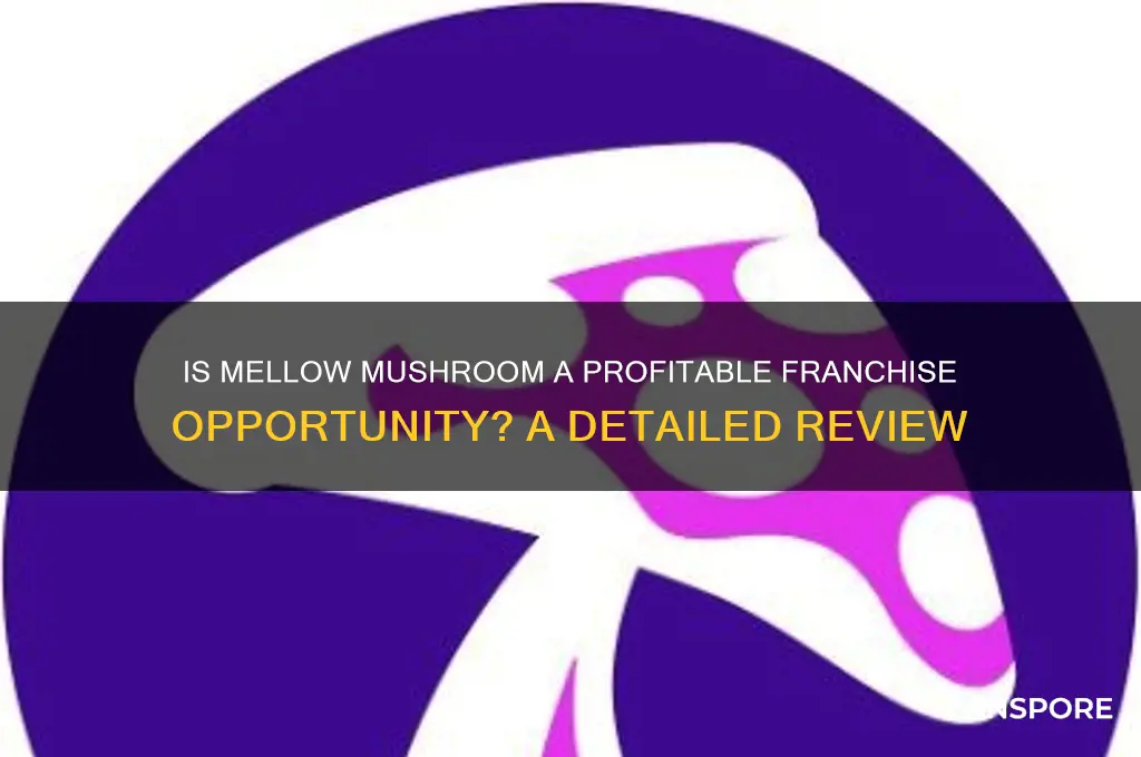 is mellow mushroom a good franchise