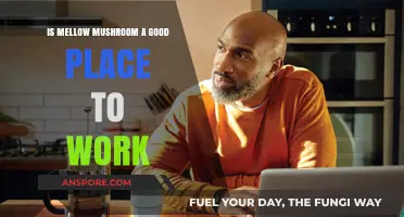 Is Mellow Mushroom a Good Workplace? Employee Reviews and Insights