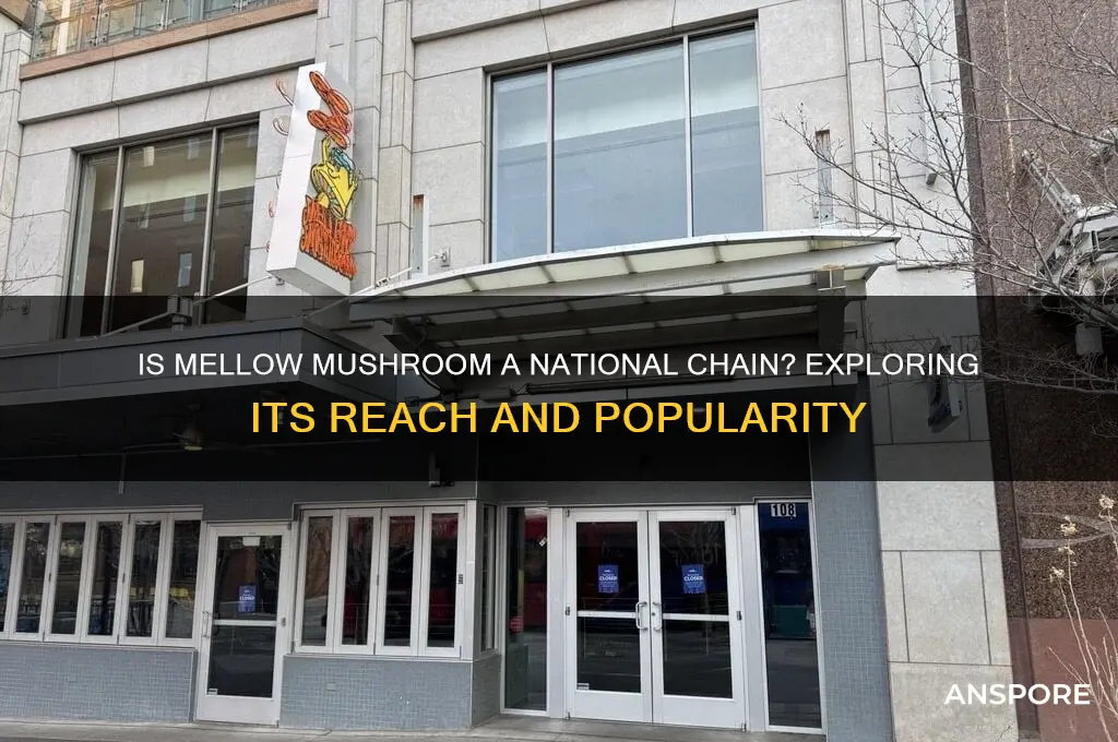 is mellow mushroom a national chain