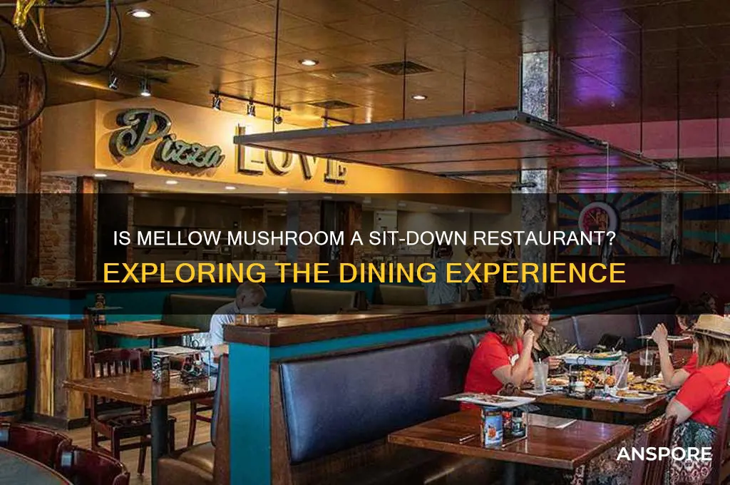 is mellow mushroom a sit down restaurant