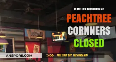 Is Mellow Mushroom in Peachtree Corners Permanently Closed? Find Out