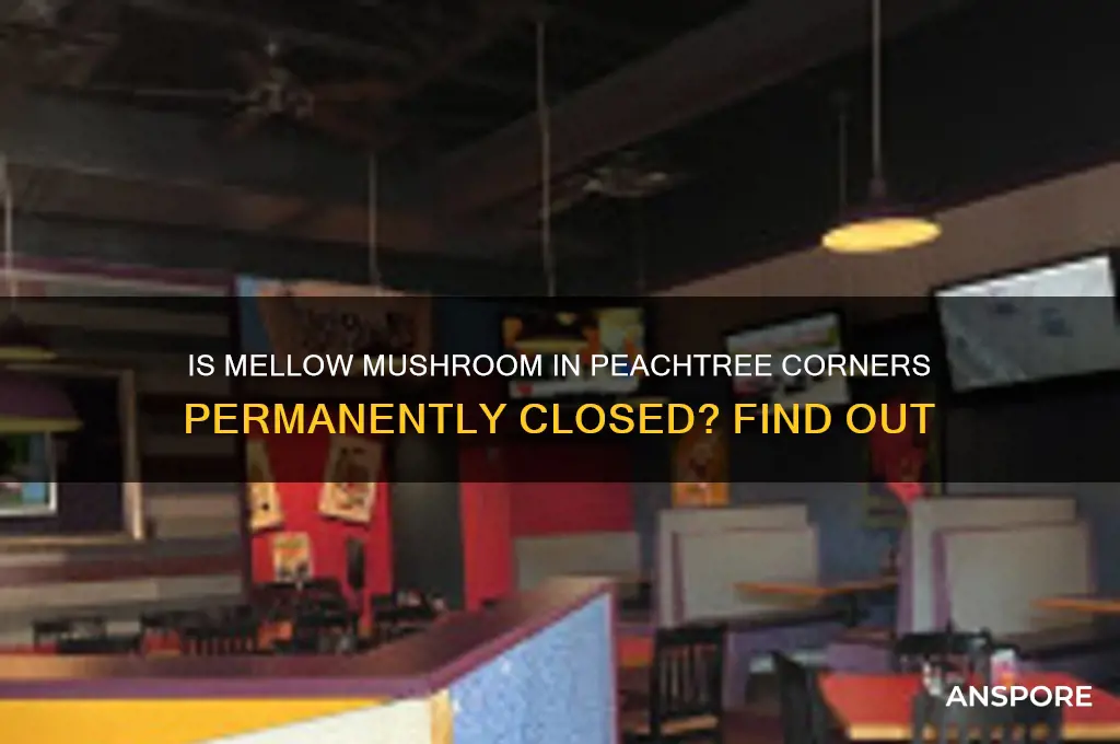 is mellow mushroom at peachtree cornners closed