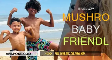 Mellow Mushroom: A Baby-Friendly Dining Experience?