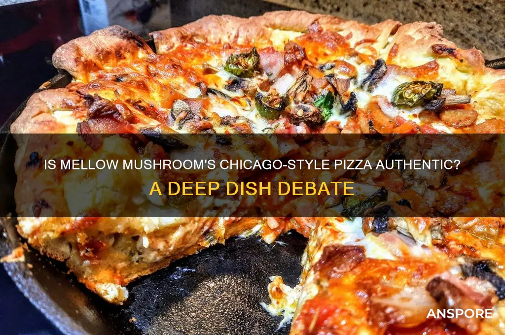 is mellow mushroom chicago style pizza