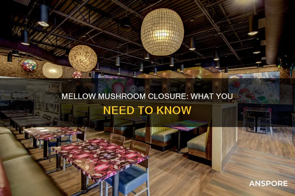 is mellow mushroom closed