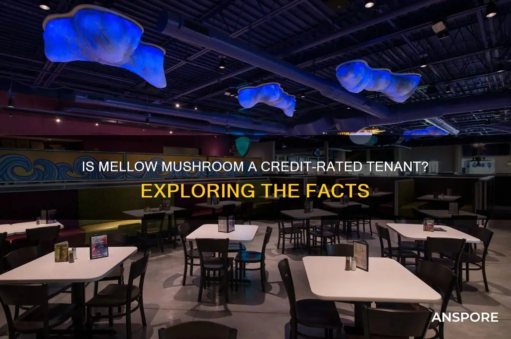 is mellow mushroom credit rated tenant