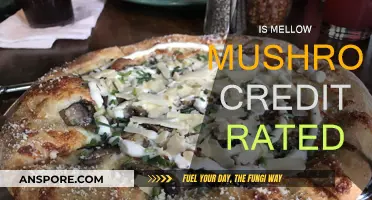 Mellow Mushroom Credit Rating: What You Need to Know