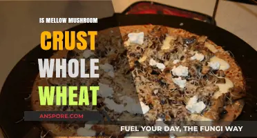 Is Mellow Mushroom's Crust Whole Wheat? A Healthy Pizza Option