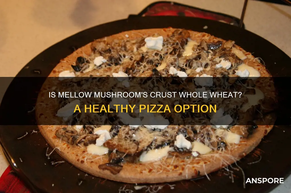 is mellow mushroom crust whole wheat