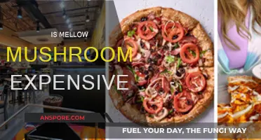 Mellow Mushroom: Affordable or Overpriced?
