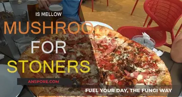 Mellow Mushroom Stoner Vibe: A Coincidence or Marketing Strategy?