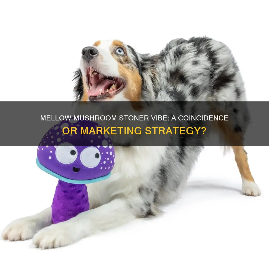 is mellow mushroom for stoners