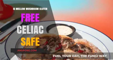 Is Mellow Mushroom Gluten-Free and Celiac-Safe? A Detailed Review