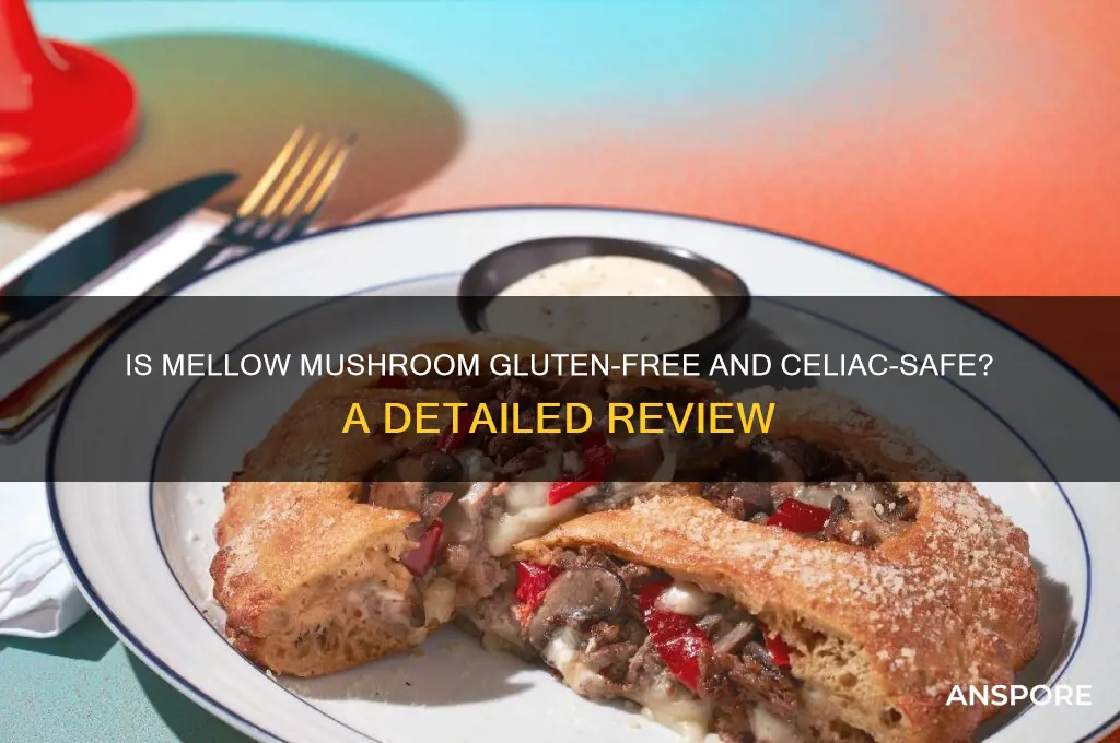 is mellow mushroom gluten free celiac safe