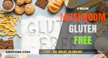 Mellow Mushroom's Gluten-Free Menu Options: Are They Safe?