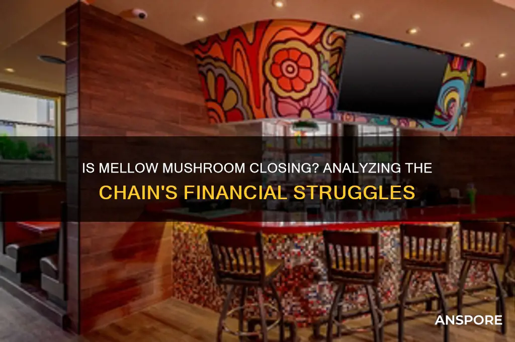is mellow mushroom going out of business