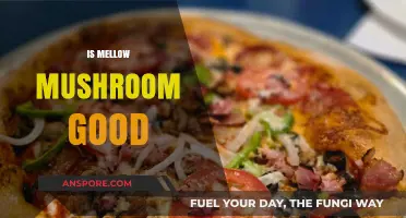 Is Mellow Mushroom Worth It? A Tasty Pizza Review