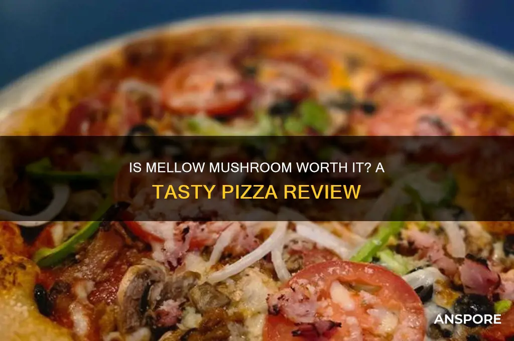 is mellow mushroom good