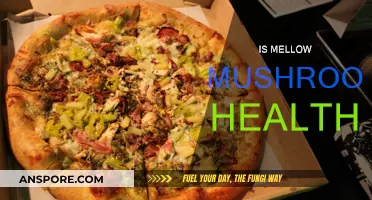 Mellow Mushroom: Healthy or Not?
