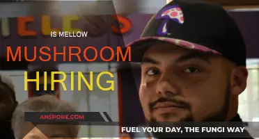 Mellow Mushroom Hiring: Join the Fun Team!
