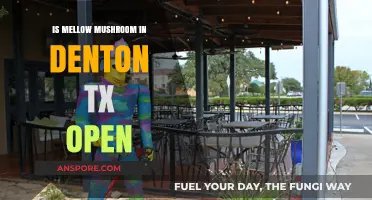 Is Mellow Mushroom in Denton, TX Open? Check Hours Here