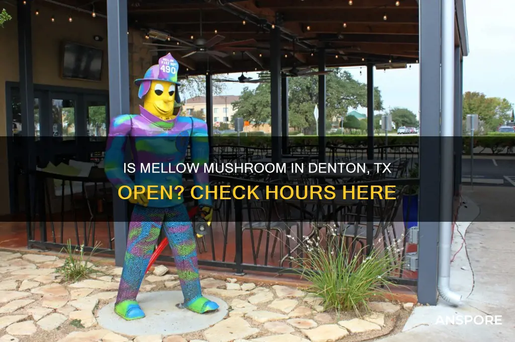 is mellow mushroom in denton tx open