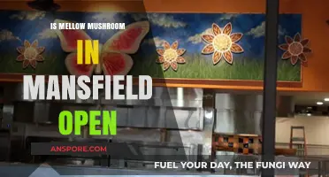 Is Mellow Mushroom in Mansfield Open? Check Hours & Status