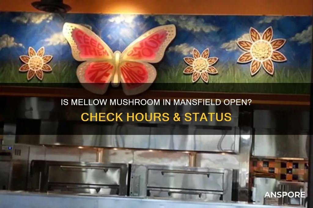 is mellow mushroom in mansfield open